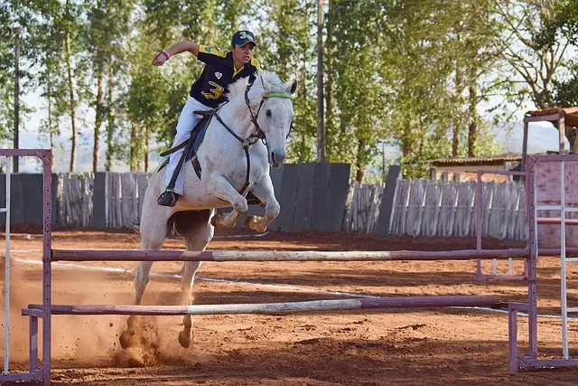 moda ecuestre - Cómo se llama el arte de montar a caballo