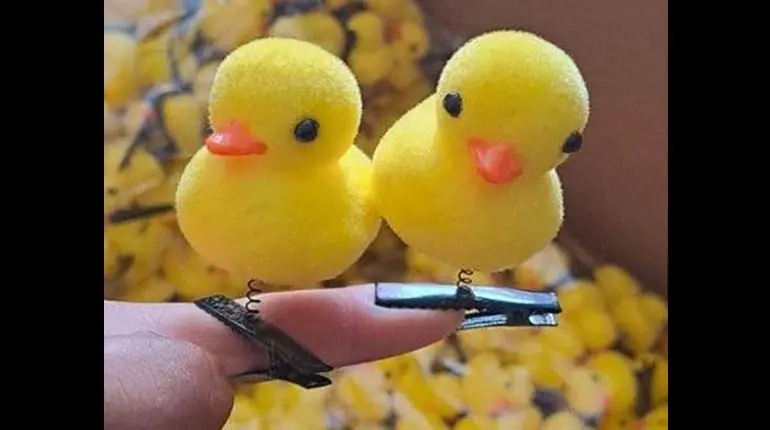 los patitos que están de moda - Cómo se llama el patito que está de moda