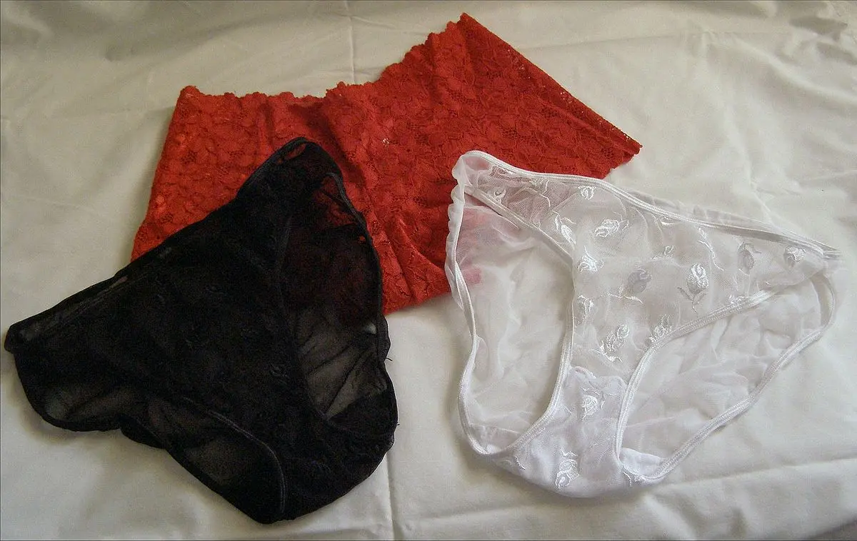 moda intima mujer - Cómo se llama la ropa íntima de la mujer