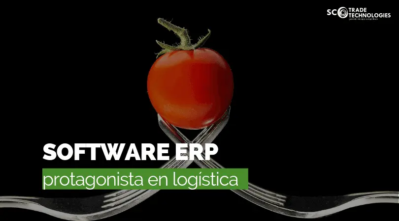 software para la industria de la moda - Qué ERP utiliza Inditex