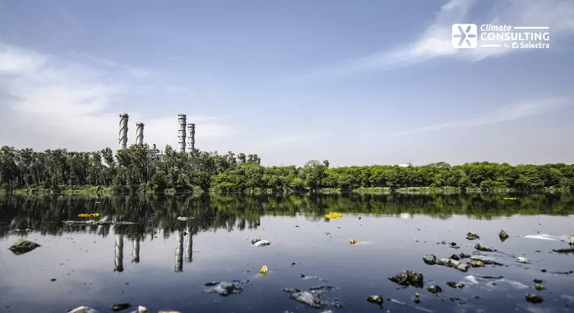 greenwashing en la moda - Qué es el greenwashing Ilústralo con un ejemplo real