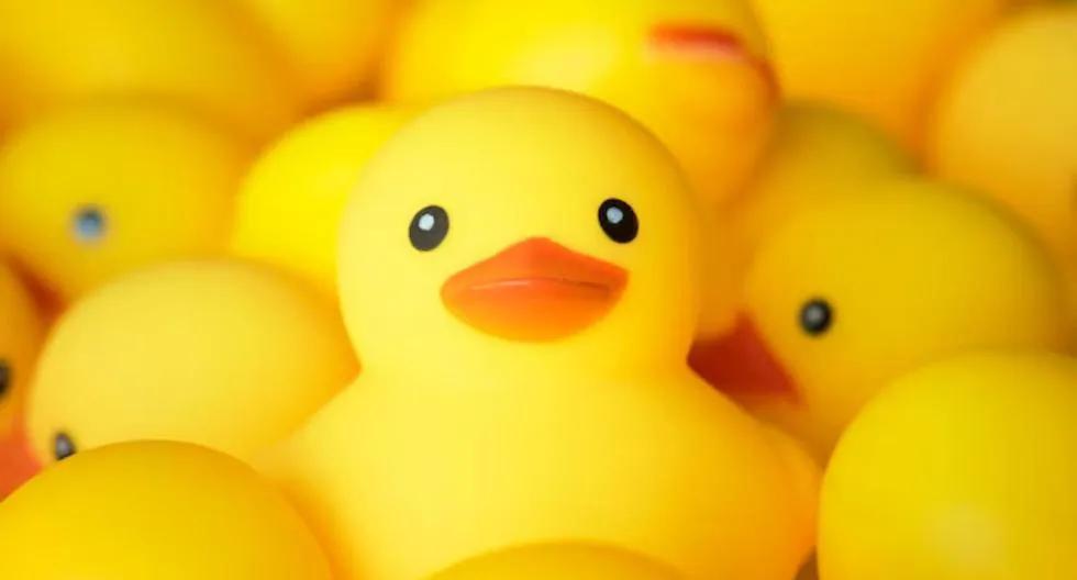 los patitos que están de moda - Qué es la moda de los patitos kawaii