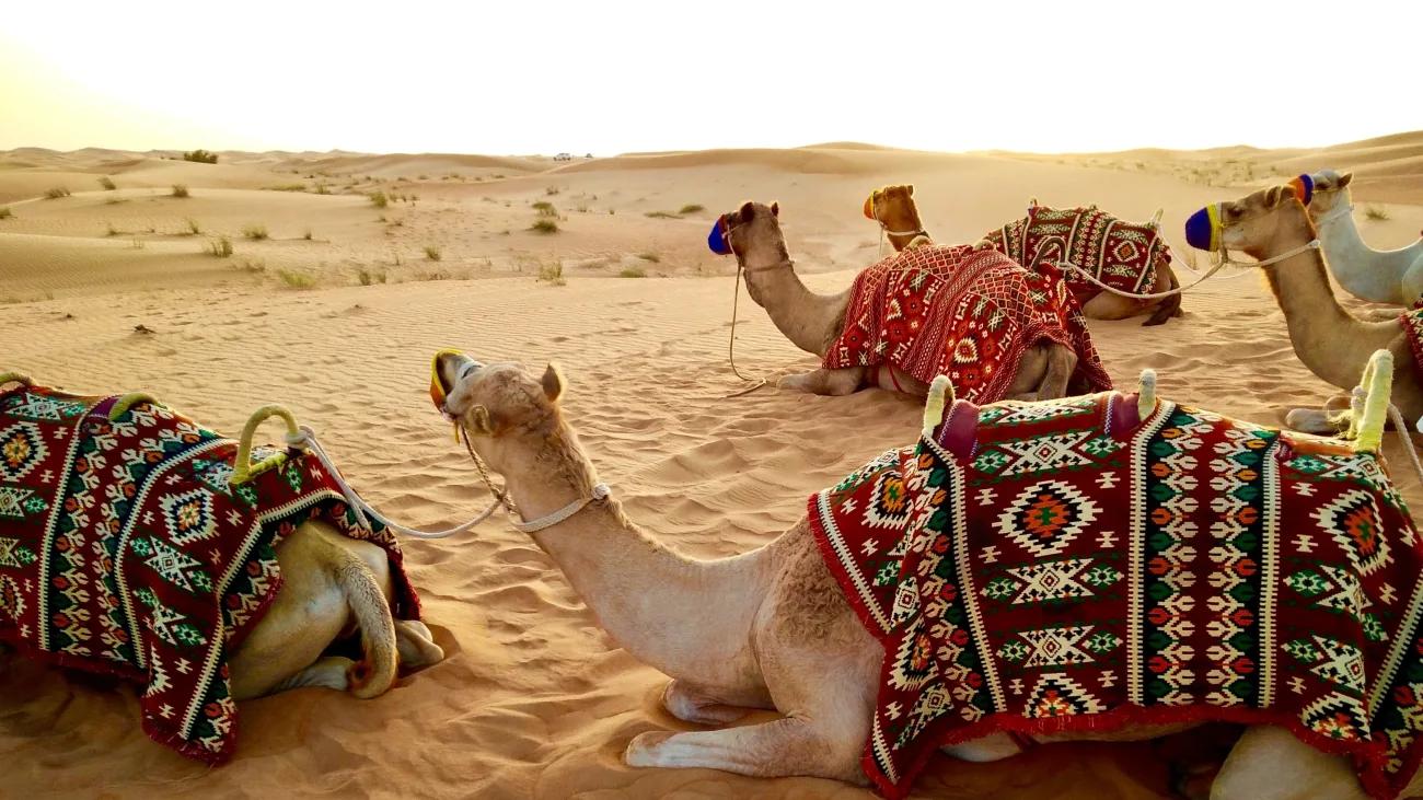 moda desierto - Qué ropa usar en el desierto de Dubai